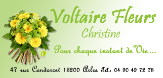 carte-visite-voltaire-fleurs-evenement-noel-2007.jpg