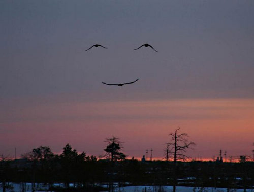 sourire-nature.jpg