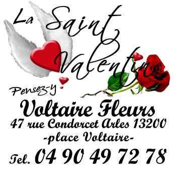 saint-valentin-voltaire-fleurs-arles-13200.jpg