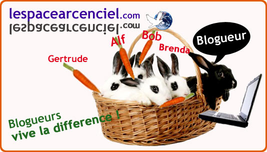 blogueurs-acceptez-vos-differences.jpg