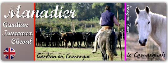 imagine-tours-13-manade-chevaux