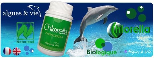 Chlorella-algues-et-vie