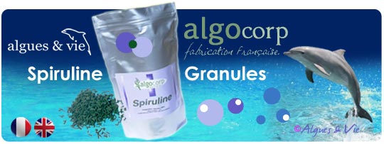 SPIRULINE-granule-algues-et-vie