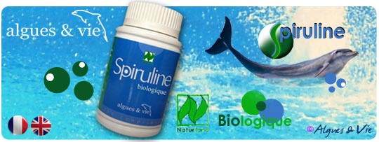 Spiruline-algues-et-vie