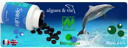 Spiruline-biologique-algues-et-vie