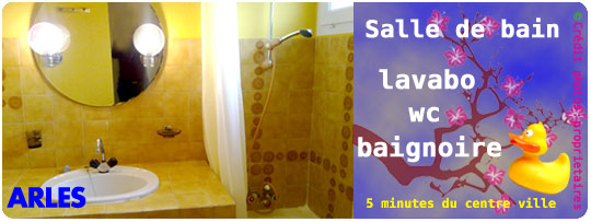 Location-arles-13-F-sallebain