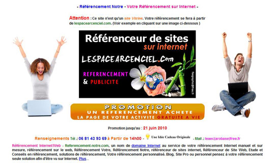 referencement-Internet-Promo-2010
