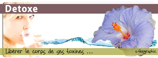 ioniseur-03-Detoxe-2010-web