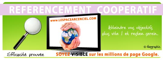 referencement-cooperatif-2010