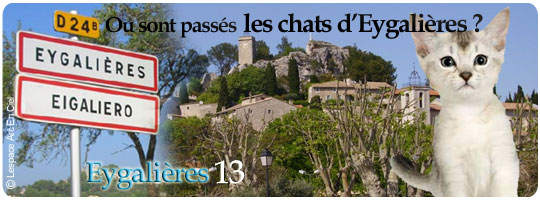 Eygalières Chats