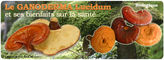 Le Ganoderma Lucidum et ses bienfaits sur la Santé :-)