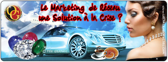 Le Marketing de Réseau une Solution à la Crise ?