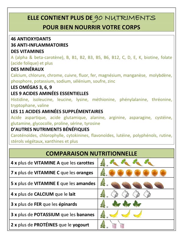 Le Moringa ou arbre de Vie !