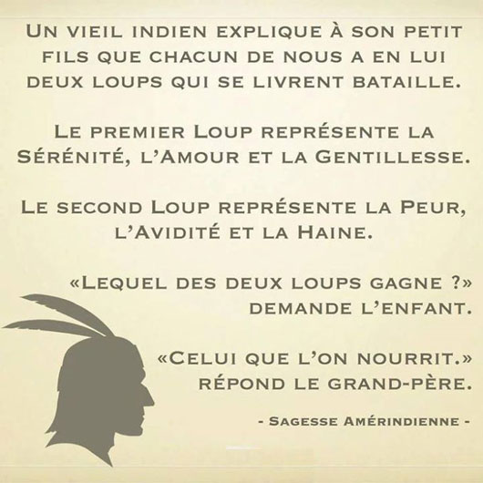 Les-deux-loups