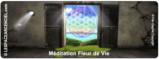 Meditation-FDV