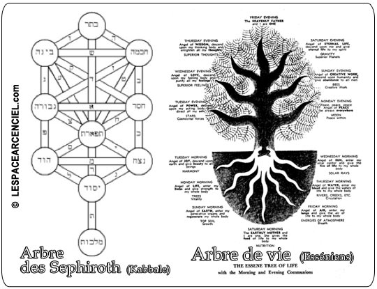 Arbre-de-vie-7-8