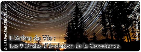 Les-9-ondes-d-evolution