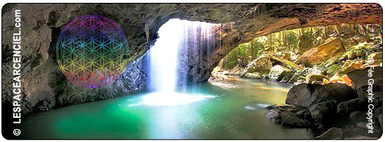 Fleur-de-vie-dans-une-Grotte