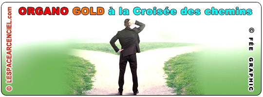 Organo-Gold-la-croisee