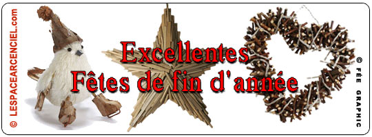 Excellentes-fetes-2014