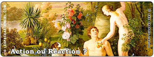 Action-ou-reaction