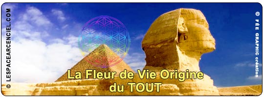 Sphinx-Egypte-Fleur-De-Vie