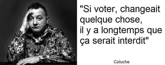 voter-coluche